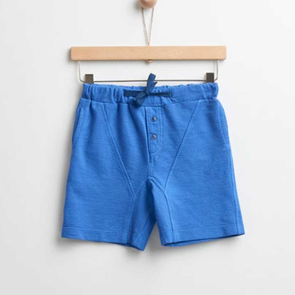 Electric Blue Shorts