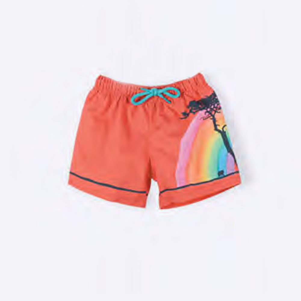 Rainbow Swim Shorts
